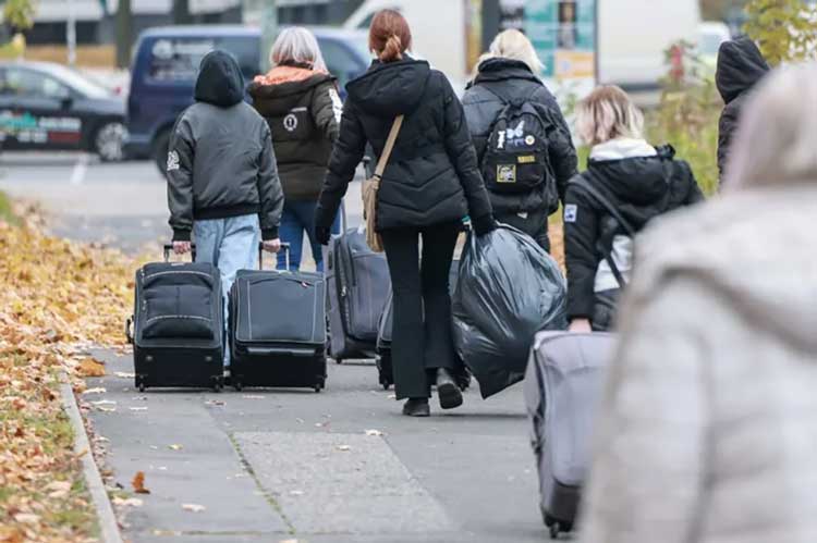 پناهندگی پناهندگی در آلمان